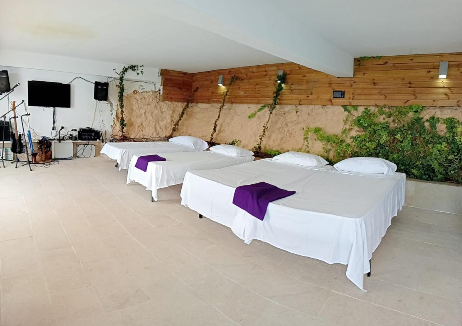 Exclusive Seafront Villa,Private Pool,Gym,Bbq El Toro  Exterior photo